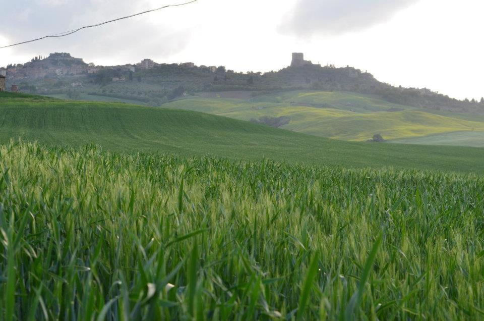 Апартаменти Val D'Orcia Nel Borgo Кастільйоне-д'Орчія Екстер'єр фото
