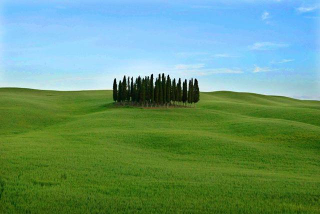 Апартаменти Val D'Orcia Nel Borgo Кастільйоне-д'Орчія Екстер'єр фото
